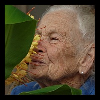 PAGE - Ginger Blossom